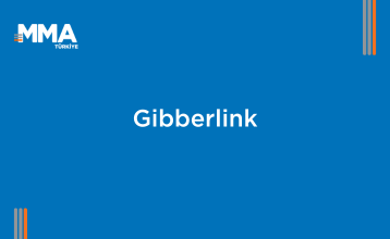 Gibberlink: AI’ların Gizli Dili ile Pazarlamanın Geleceği